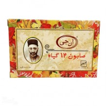 صابون 12 گیاه ان جی