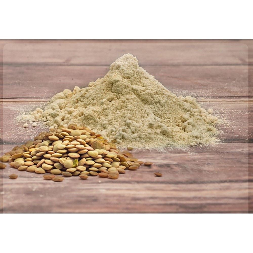 سویق عدس